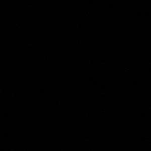 Meet your Posher, Amelia